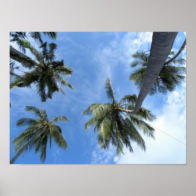 Affiches Recherche (Devant)