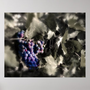 Affiches Récolte au vignoble principal de Tefft Cellars