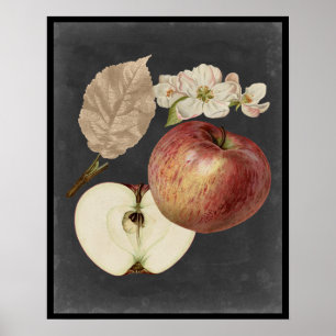 Affiches Récolte de minuit II