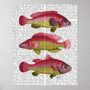 Affiches Red and Yellow Fantasy Fish Trio