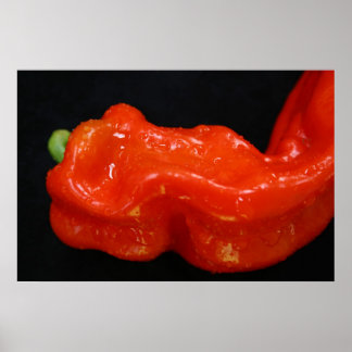 Affiches Red Bell Pepper