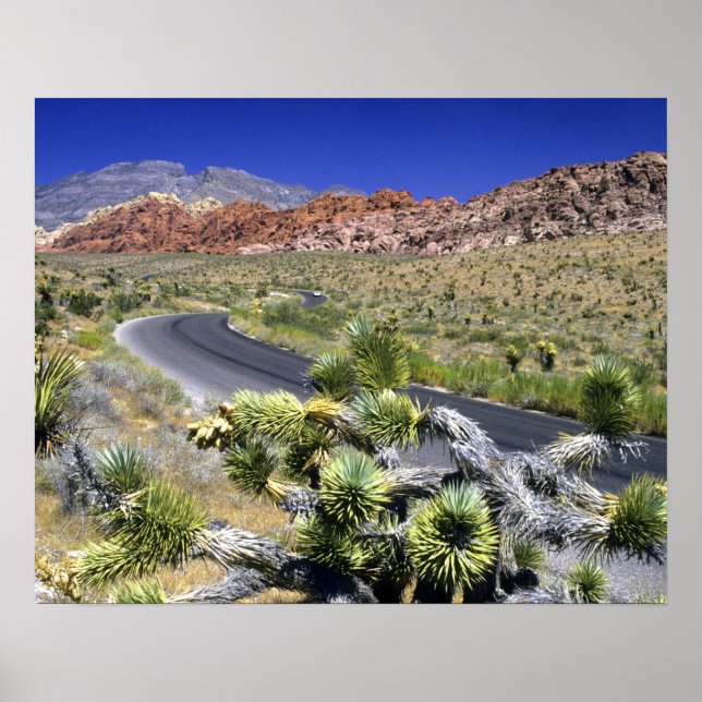 Affiches Red Rock Canyon National Conservation Area, Las (Devant)