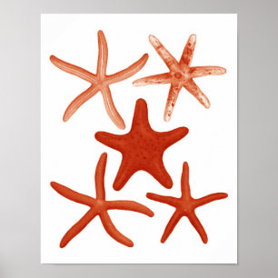 Affiches Red Starfish no.1 Beach Decor Wall Art Print
