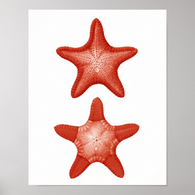 Affiches Red Starfish no.2 Nautical Wall Art Decor Print (Devant)
