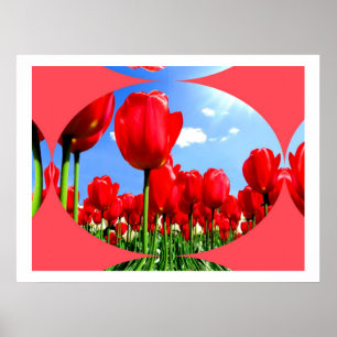 Affiches Red Tulip Delft