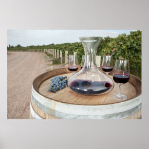 Affiches Red Wine In Vineyard