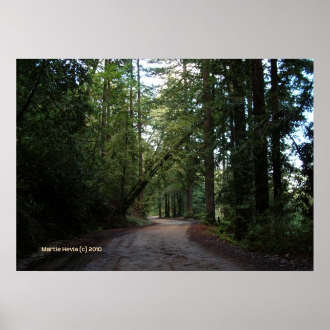 Affiches Redwoods Mountain Road (Devant)