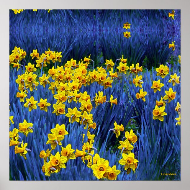 Affiches Reflet des jonquilles (Devant)