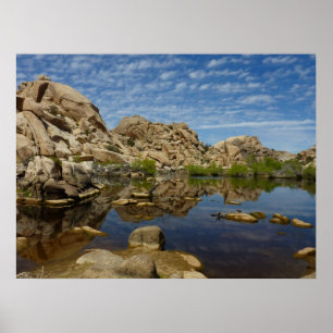 Affiches Reflet du Barker Dam à Joshua Tree I