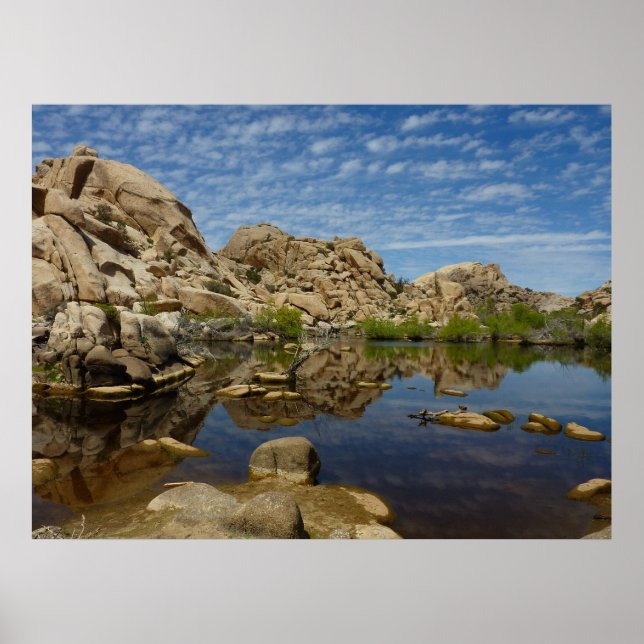 Affiches Reflet du Barker Dam à Joshua Tree I (Devant)