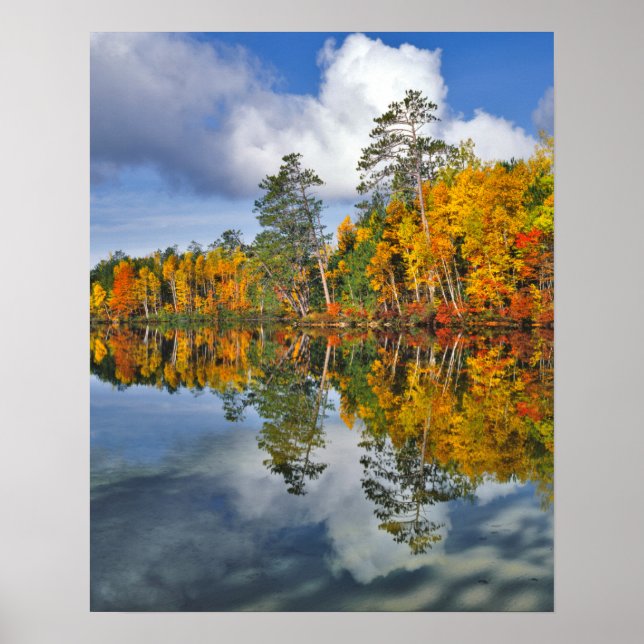 Affiches Reflets d'étang en automne, Maine (Devant)