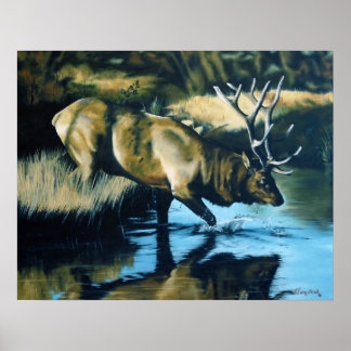 Affiches Réflexions