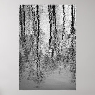 Affiches Réflexions d'arbre