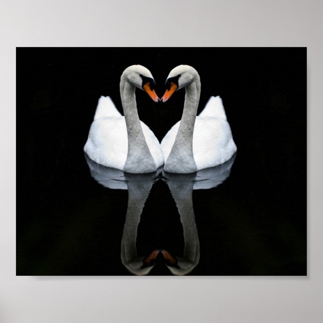 Affiches Réflexions de l'amour, forme du coeur, cygnes blan (Devant)