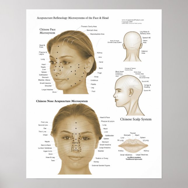 Affiches Réflexologie de l'acupuncture Microsystèmes visage (Devant)