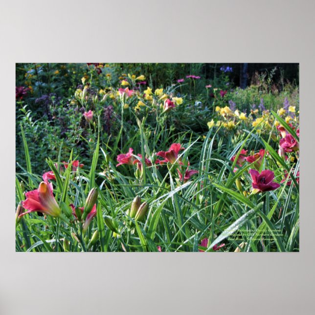 Affiches Refloraison estivale Jardins d'été (Devant)