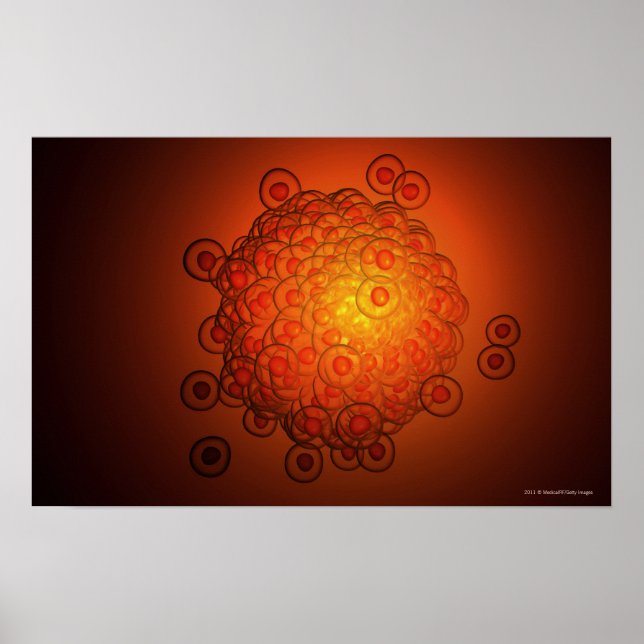 Affiches Regard magnifié sur un ovule (Devant)