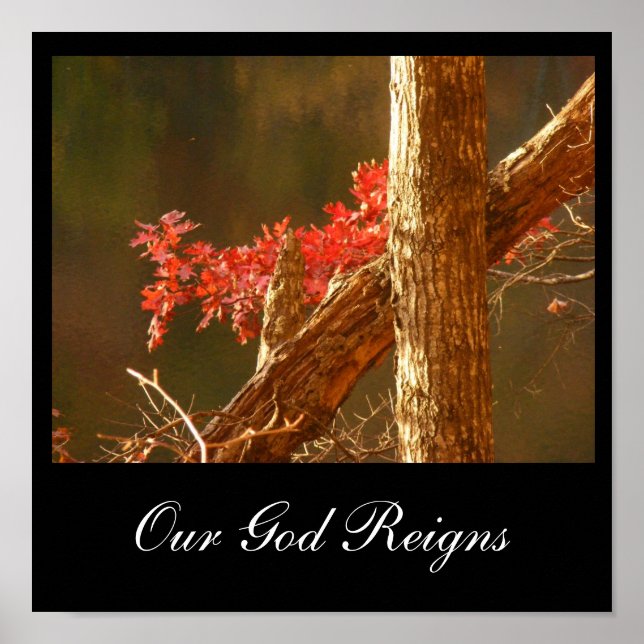 Affiches Règnes (Devant)