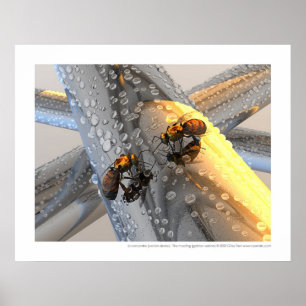 Affiches Rencontre de La - la réunion (version d'or)