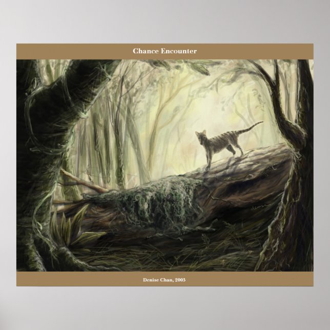 Affiches Rencontre des chances (Devant)