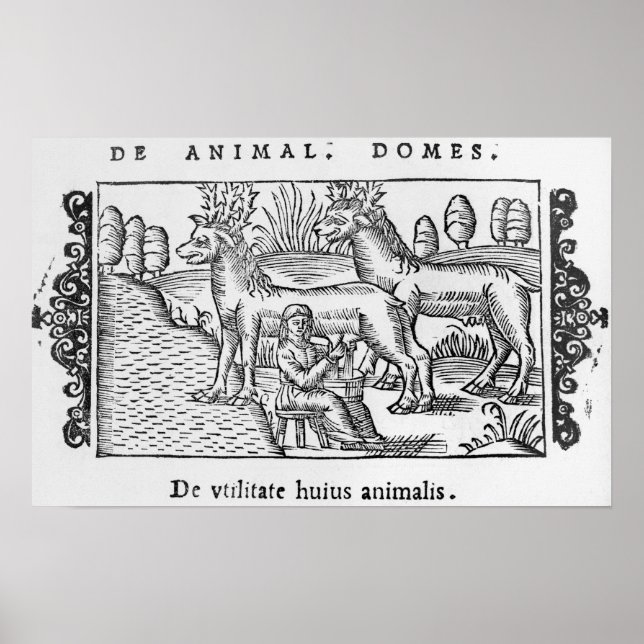 Affiches Rennes à lait (Devant)