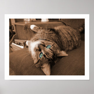 Affiches Reposer dans Twill