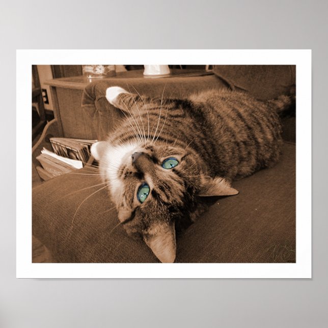 Affiches Reposer dans Twill (Devant)