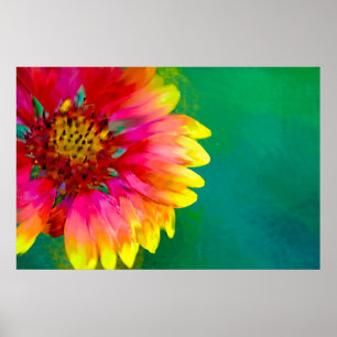 Affiches Représentation artistique de la fleur Indian Blank