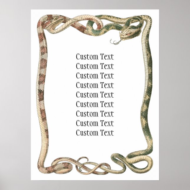 Affiches Reptiles Vintage, Serpents ou Vipères Entrelacés e (Devant)