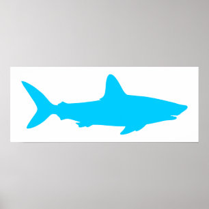 Affiches Requin Blanc et Bleu Aqua