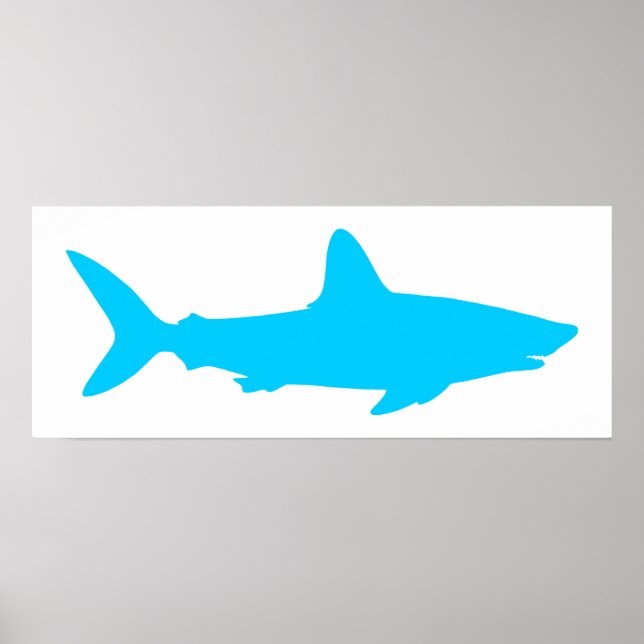 Affiches Requin Blanc et Bleu Aqua (Devant)