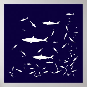 Affiches requin bleu