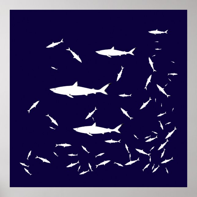 Affiches requin bleu (Devant)