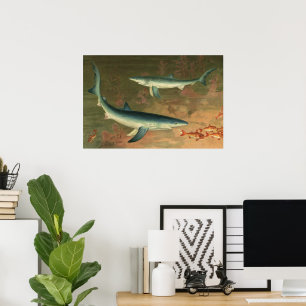 Affiches Requin Bleu Vintage Mangeant un Poisson, Vie Marin