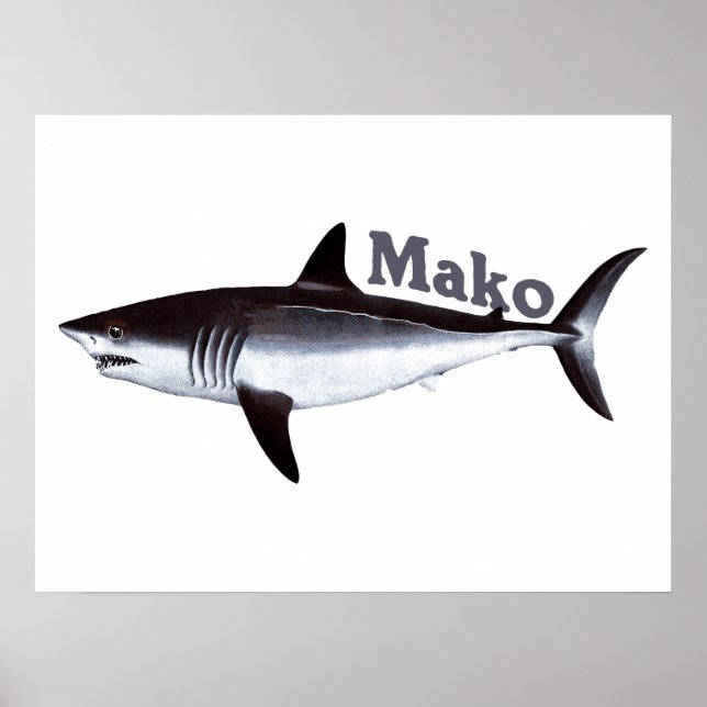 Affiches requin Mako vintage (Devant)
