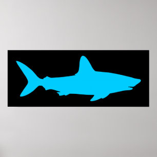 Affiches Requin noir et aqua