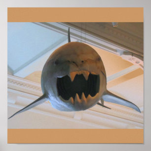 Affiches Requin préhistorique