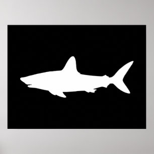 Affiches Requin qui Nage