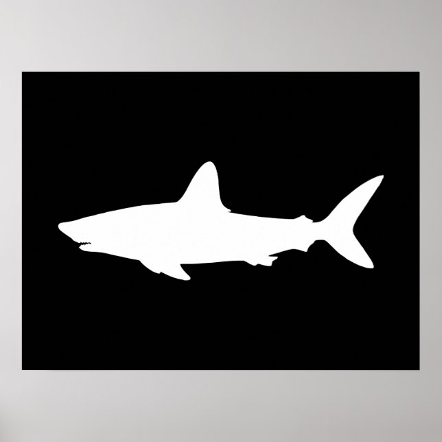 Affiches Requin qui Nage (Devant)