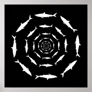 Affiches requins nageant en cercles