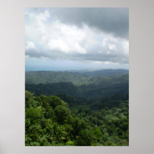 Affiches Réserve forestière d'EL Yunque
