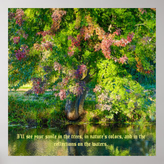 Affiches Réserve naturelle SkyRidge