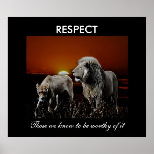 Affiches Respect