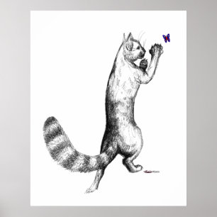 Affiches Ressort de chat