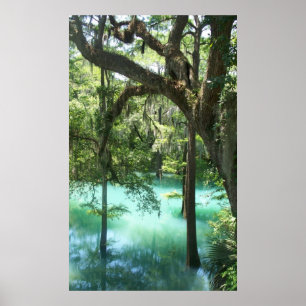 Affiches Ressorts de radium le long de la rivière GA de
