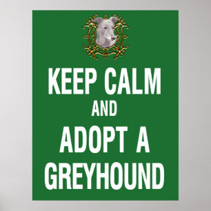 Affiches Restez calme et adoptez un Greyhound