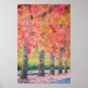 Affiches Résumé des arbres de la vallée de Napa