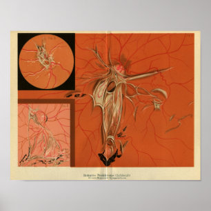 Affiches Rétine interne de vue de la copie vintage d'oeil