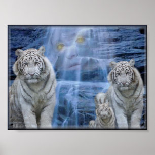 Affiches retraite de tigres