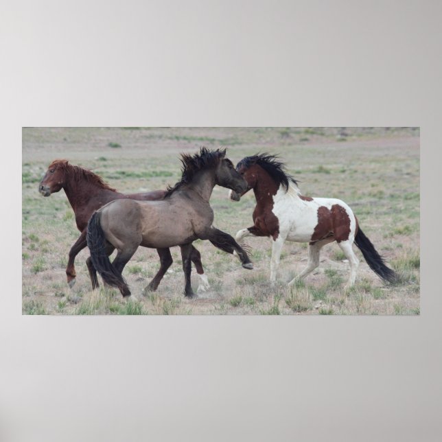 Affiches Réunir (Devant)